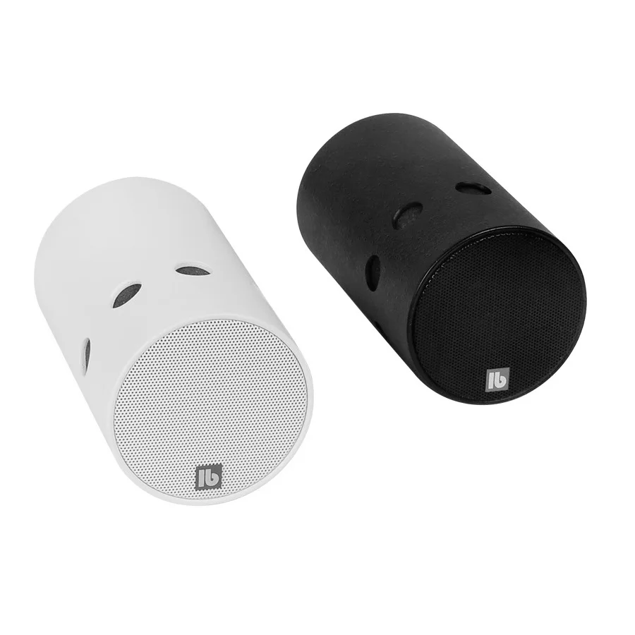 Directional Speaker RL110 A MP3