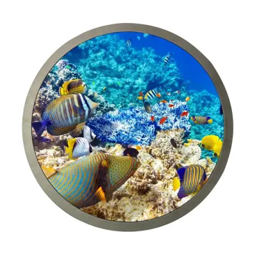 23.6" Runder Video LCD Display