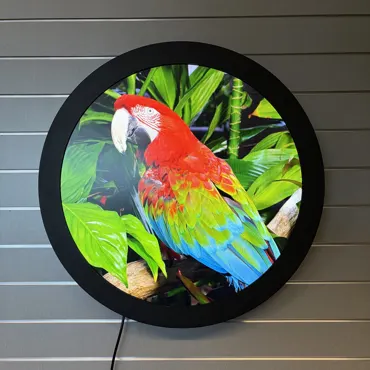 23.6" Circular Video LCD Display